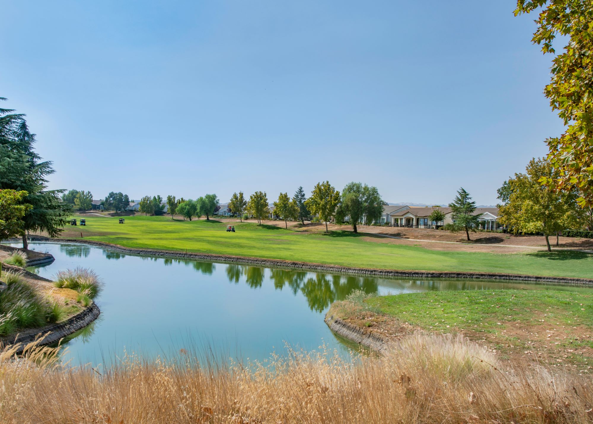 Golf Image