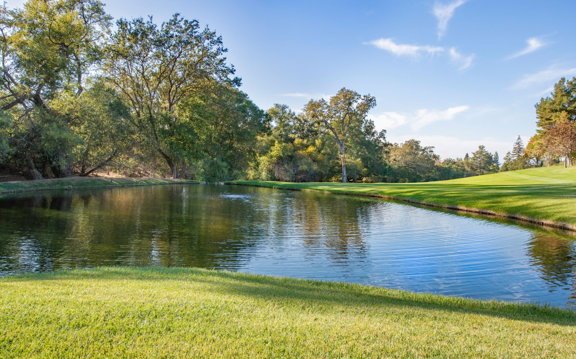 Golf Image